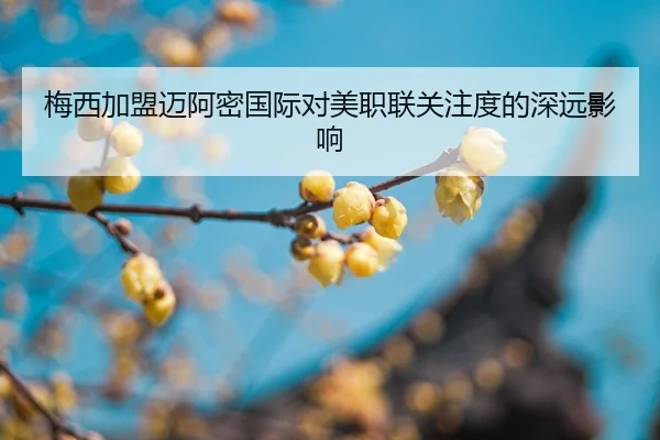 img_1787585401380_60_1_647.jpg